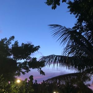 Meet your Posher, Ashleigh